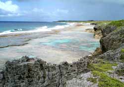 The Coral Garden in accessable conditions